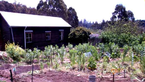 House and vegie garden